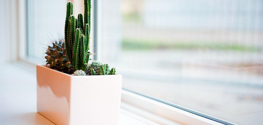 health and wellness in workplace