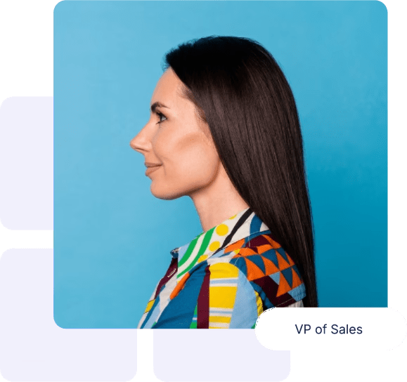 A VP of Sales role card from a Wonderlic Develop profile