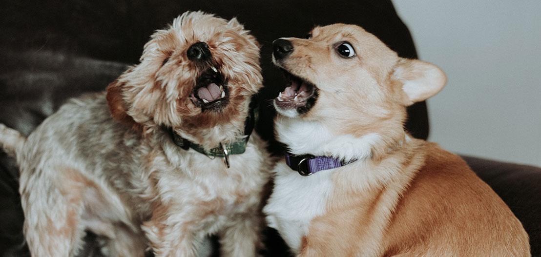 How to Keep a Bad Hire from Getting Worse