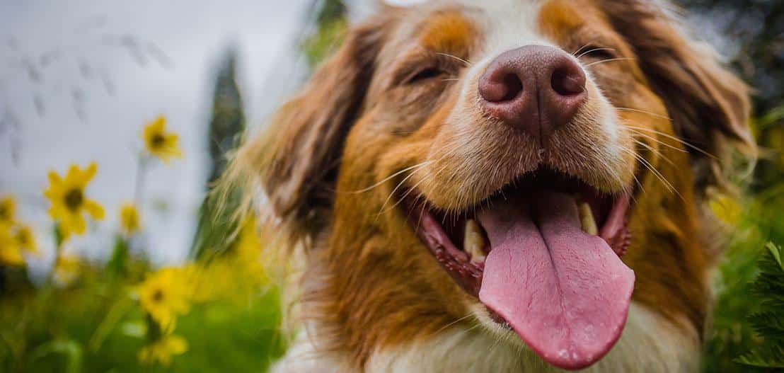 The value of HR as we know it today