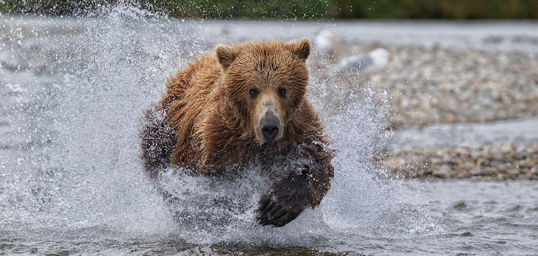 The Goldilocks Effect: Which Leadership Style Engages Employees the Most?