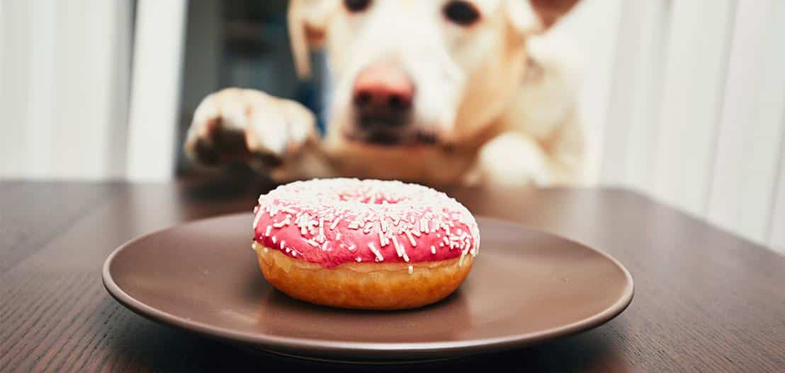 Reference Check: how to prevent employee theft