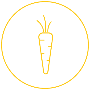 A simple yellow line drawing of a carrot inside a yellow circle on a white background subtly echoes the clarity and focus akin to pre-employment testing.